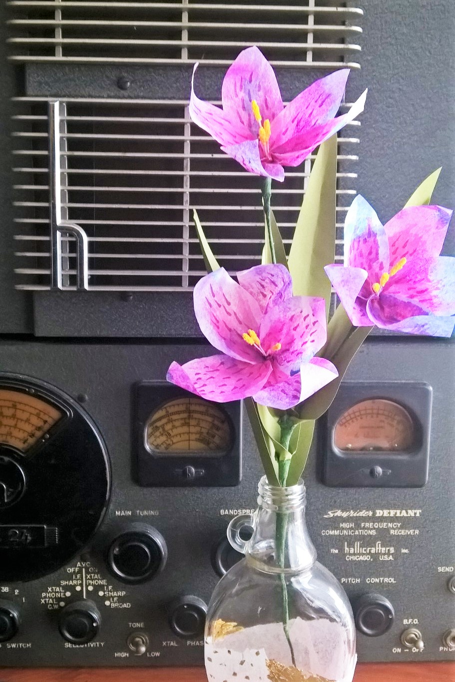 WP_20160211_14_53_33_Pro