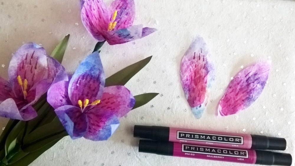 WP_20160211_15_41_31_Pro