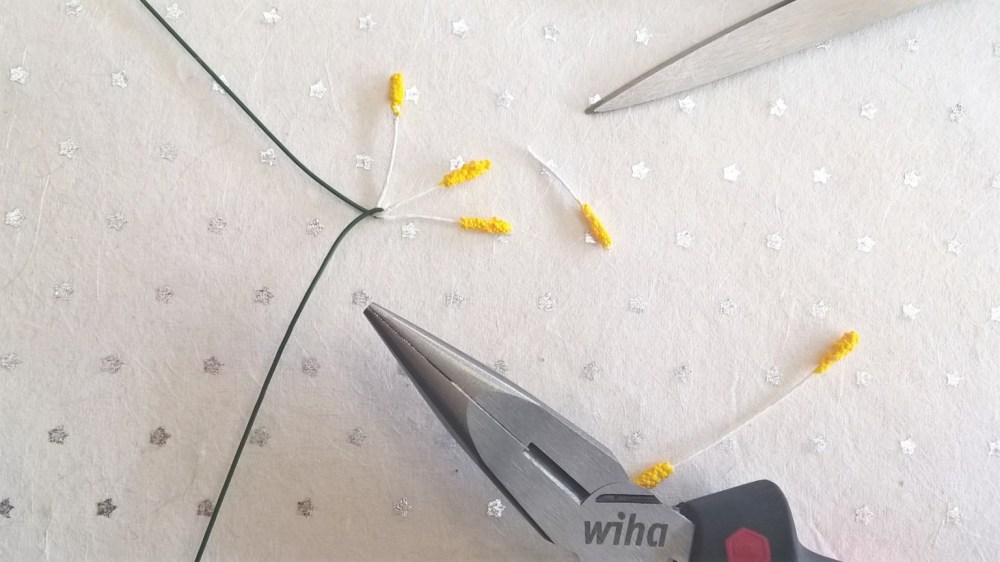 WP_20160211_16_07_06_Pro