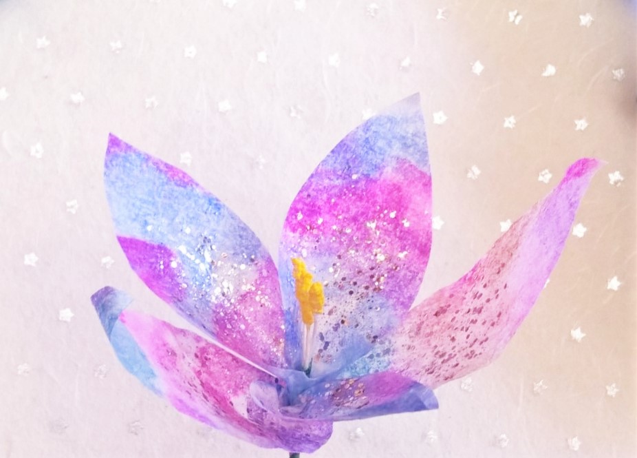 WP_20160211_16_14_28_Pro