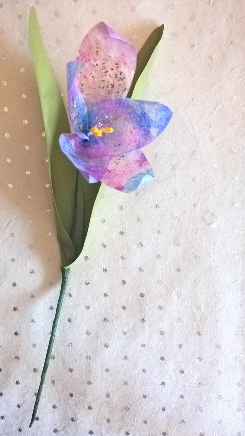 WP_20160211_16_22_55_Pro